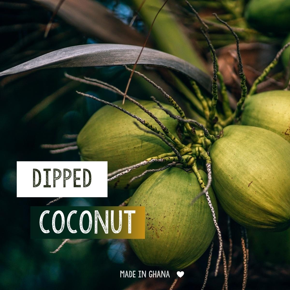 Organic Dipped Fruits Coconut | Vegan