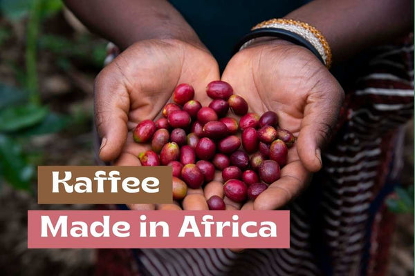 Made in Africa: fairer Kaffee