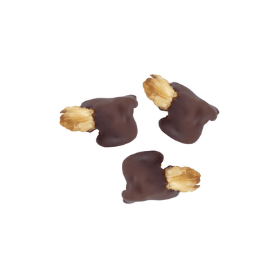 Organic Dipped Fruits Pineapple I Vegan