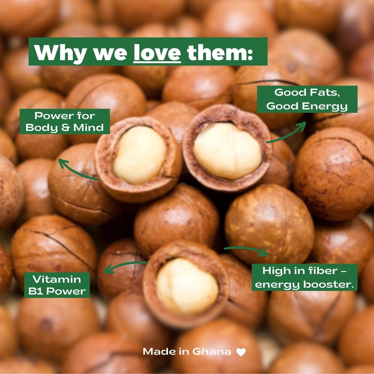 MACADAMIA BITES | in 50% Chocolate